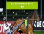 Formation turf B9 course d'attelé