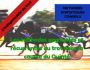 L'indispensable du trot dans la course du Quinté