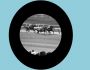 Logiciel turf pour l'obstacle