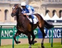 TURF : GAINS 11.250 euros pour 1 euro au GALOP