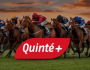 Les Outsiders du Quinté+