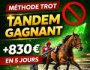 TURF attelé : 830 euros tous les 5 jours